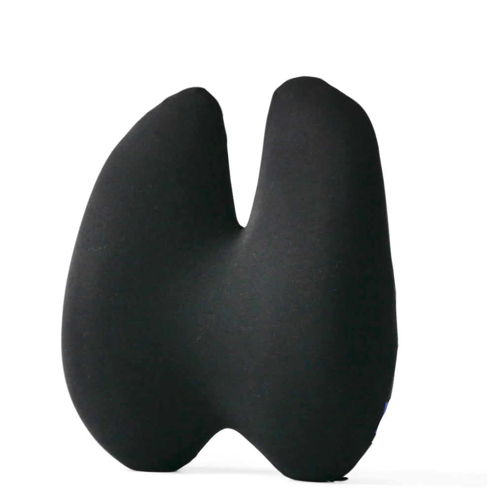 Coussin lombaire ZiraLife