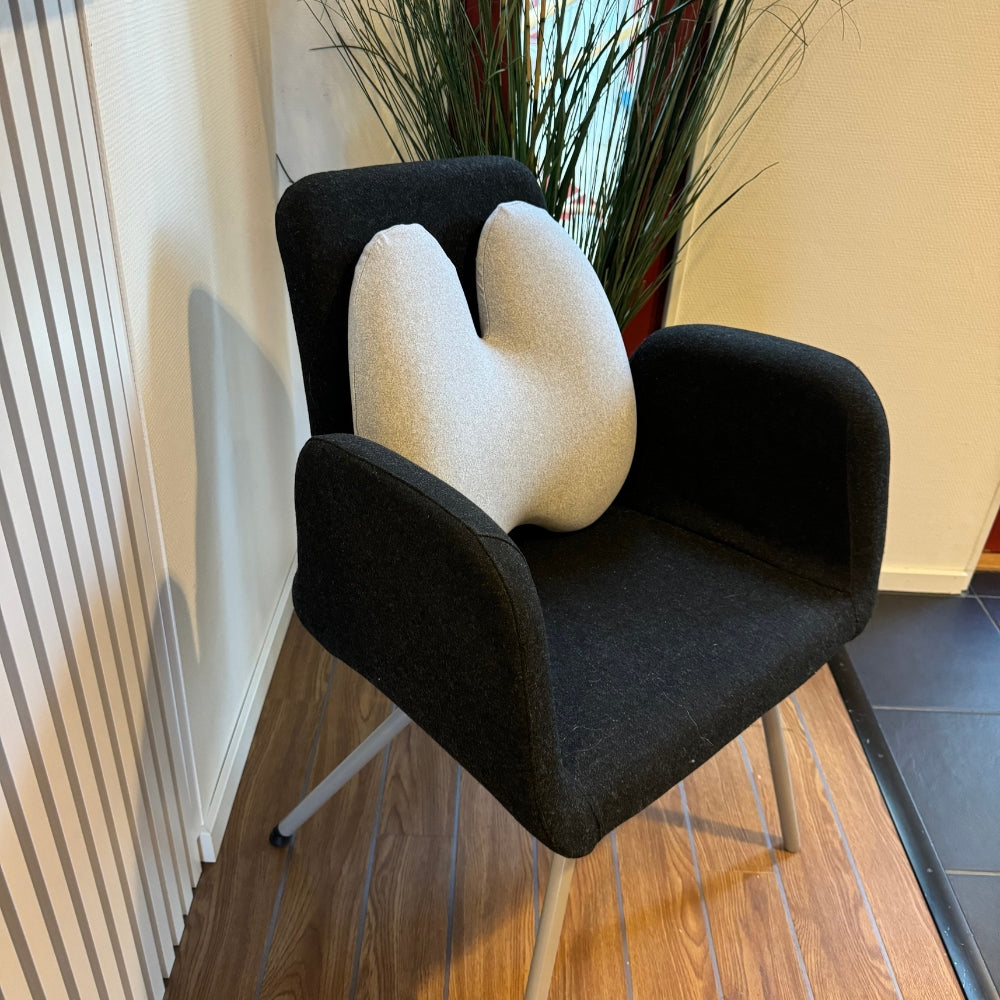 Coussin lombaire ZiraLife