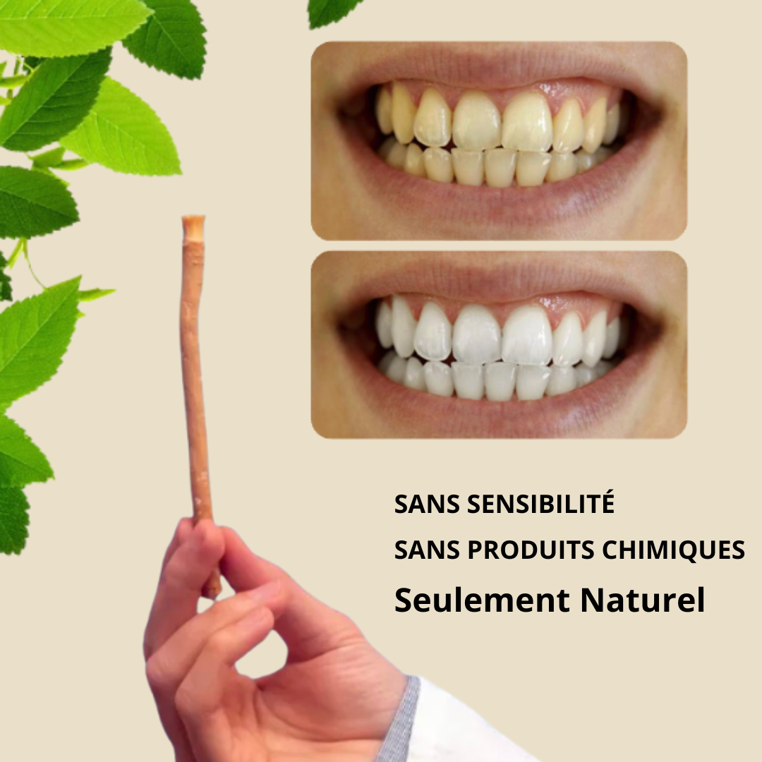 Siwak- Blanchisseur Dentaire Naturel